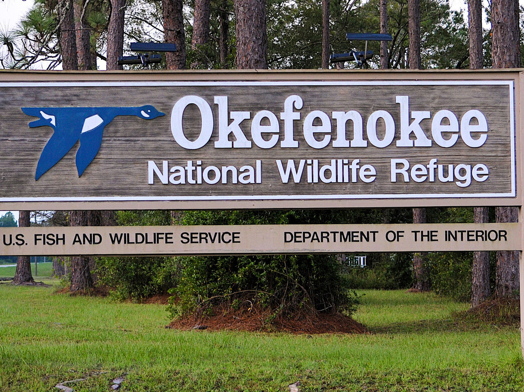 Okefenokee Adventures-Folkston必去景点