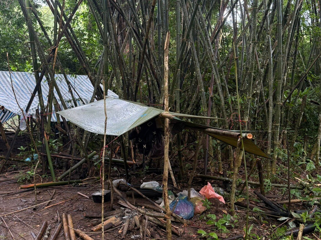 Parrot Tours-邦隆必去景点