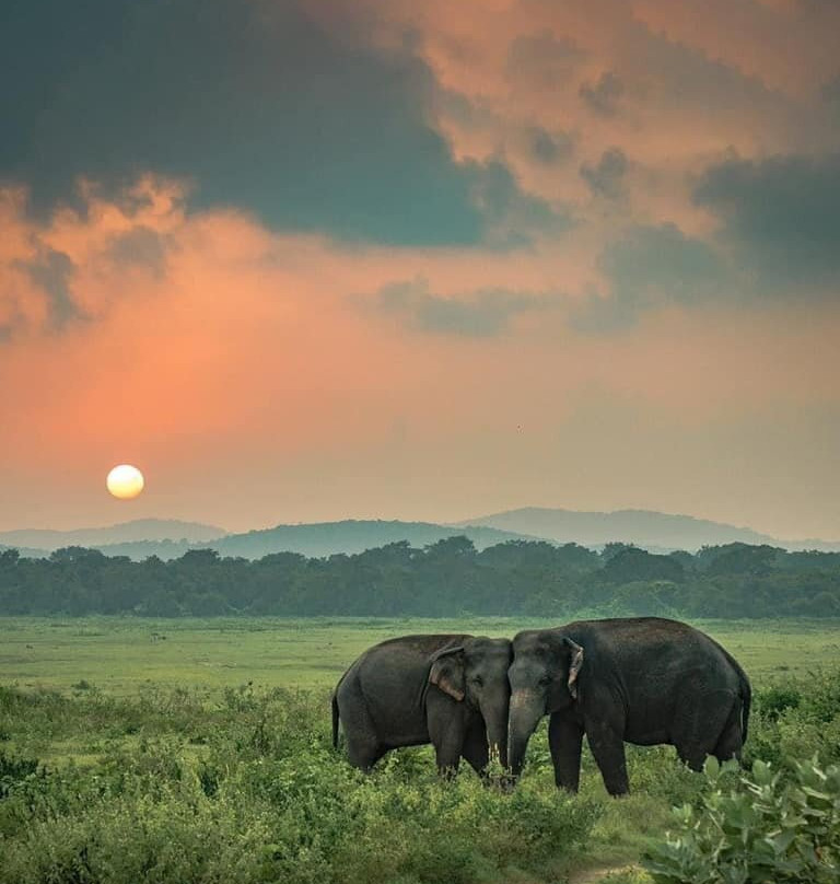 Lanka Travelo-Chilaw必去景点