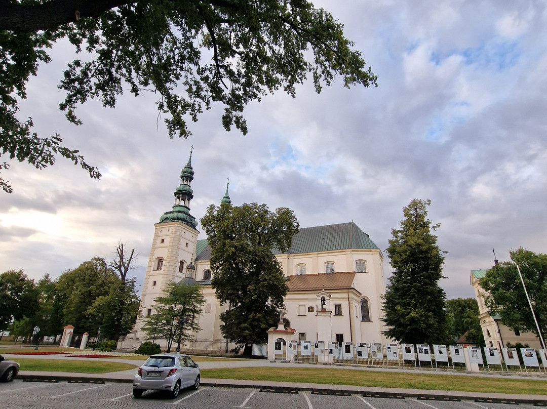 Bazylika katedralna Wniebowzięcia Najświętszej Maryi Panny i św. Mikołaja w Łowiczu-Lowicz必去景点