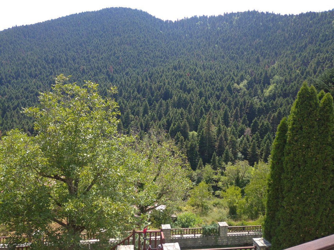 Emotions Country Resort主图