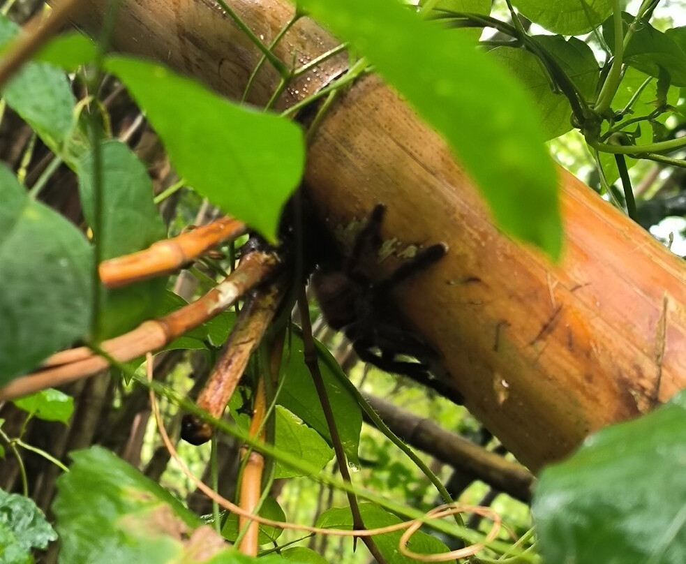 Rando A2Pas-Ducos必去景点