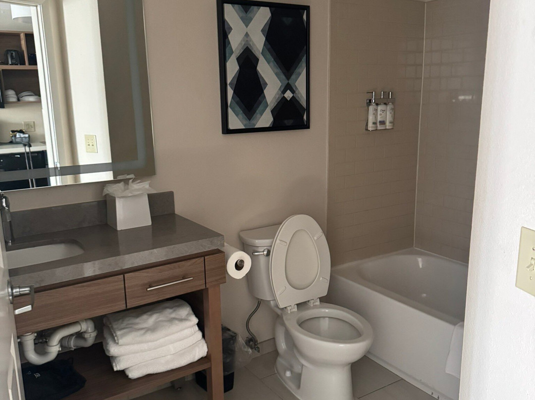 亚特兰大西20号洲际公路烛木套房酒店主图