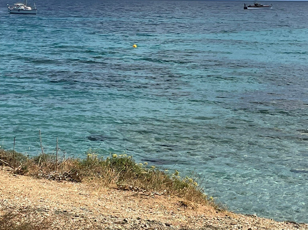 Plage de Tamarone-Rogliano必去景点