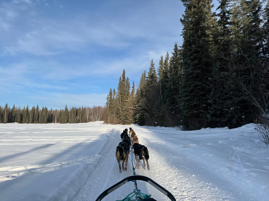 Arctic Paws Dog Sled Tours-Skytop必去景点