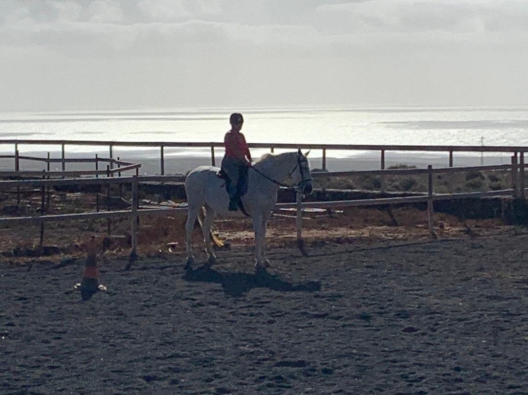 Horses Lanzarote-Teseguite必去景点