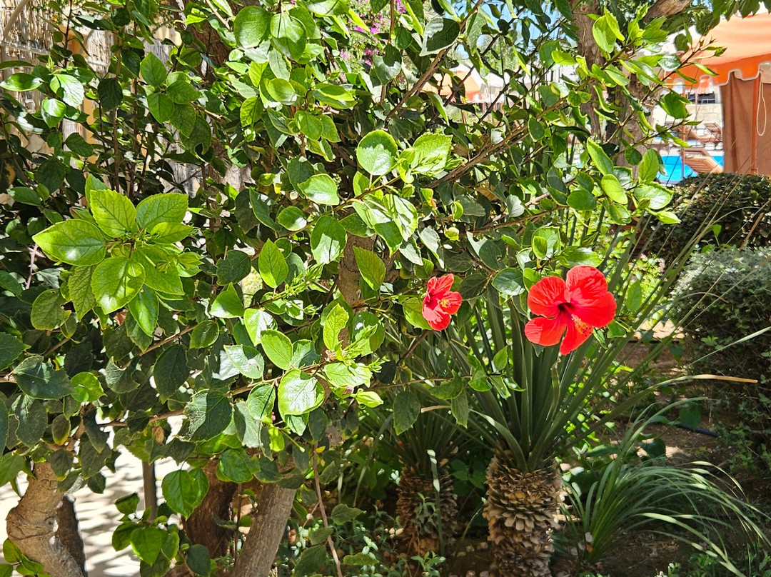 Crete Lux Travel-干尼亚必去景点