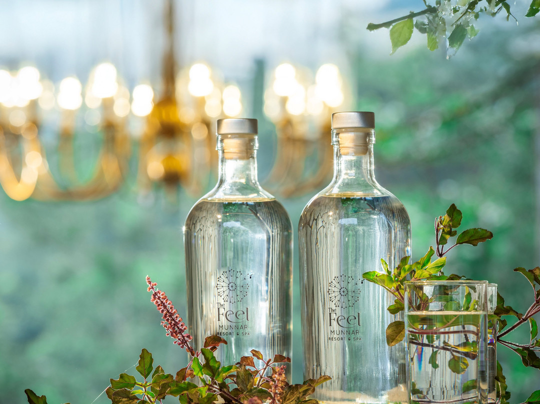 The Feel Munnar Resort