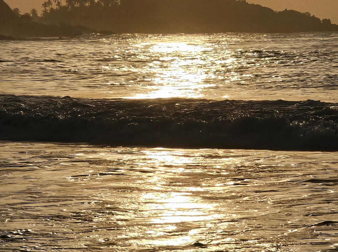 Ceylon Ayli-Pannipitiya必去景点