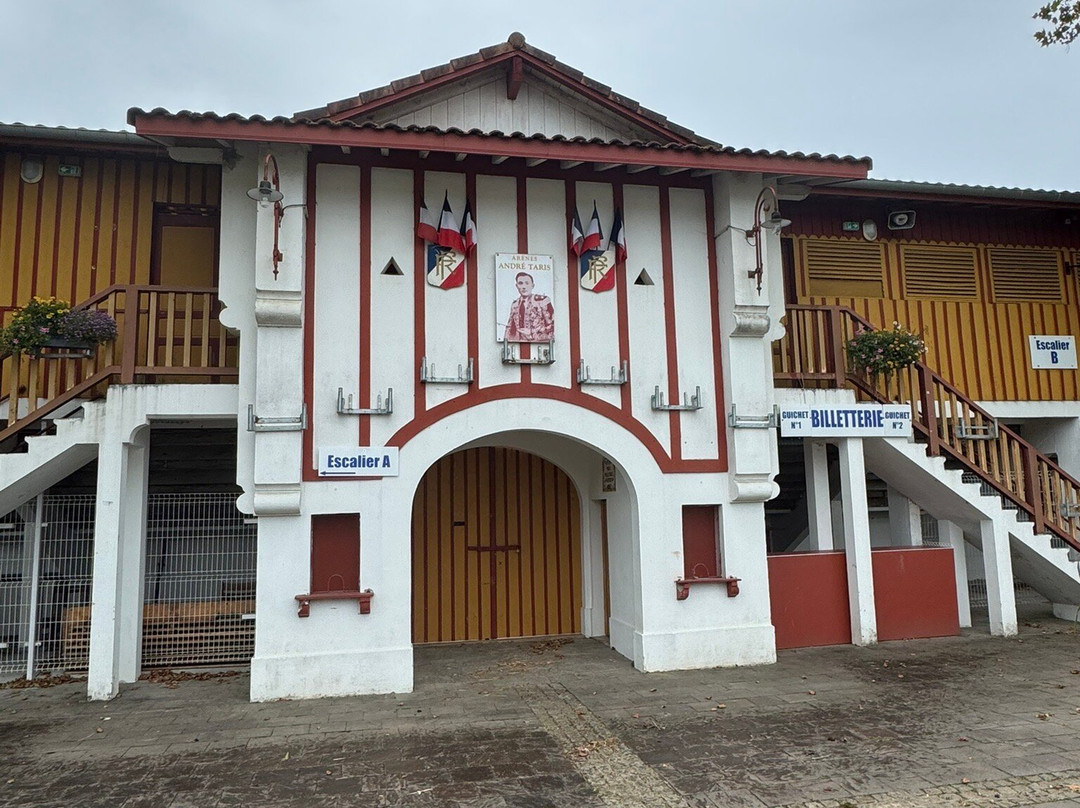 Arènes De Rion Des Landes-Rion-des-Landes必去景点