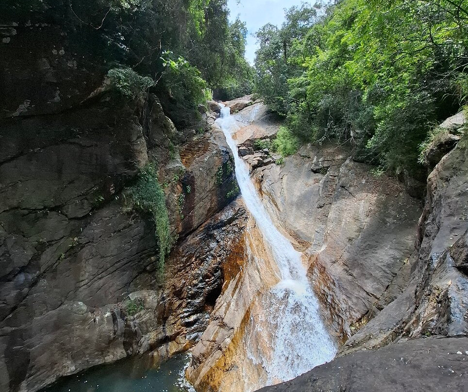 Paradise Island Safari-Gampola必去景点