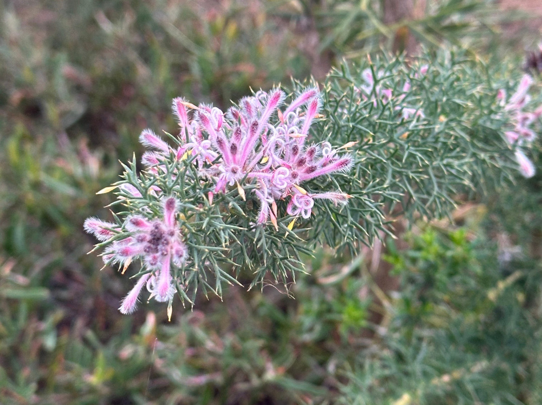 Margaret River Mountain Bike Tours-玛格丽特河必去景点