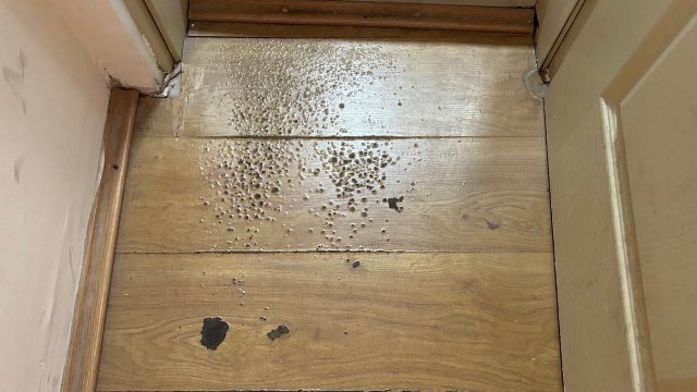 Villa Panorama-客卧