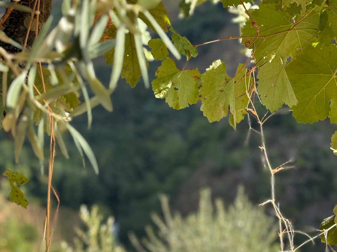 Lagar Da Sancha-Sabrosa必去景点