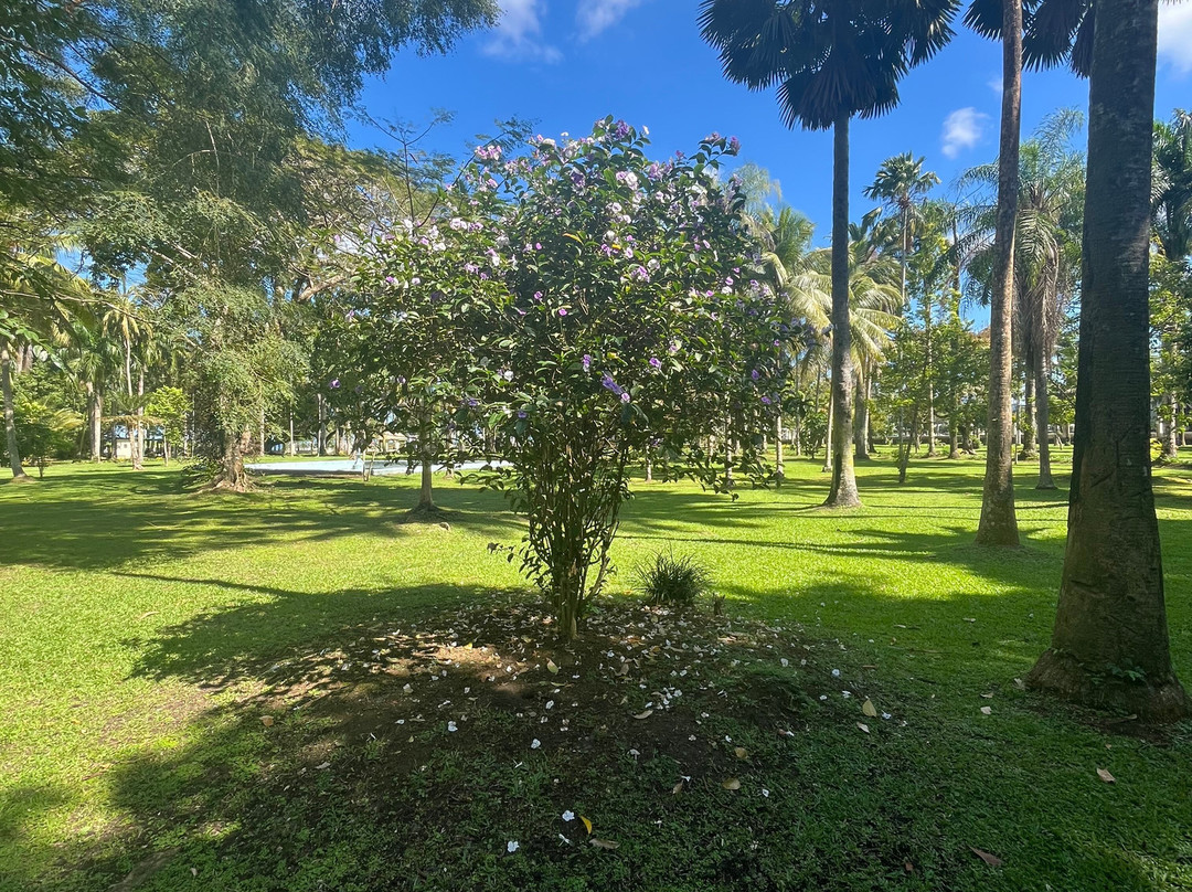 Thurston Garden-苏瓦必去景点