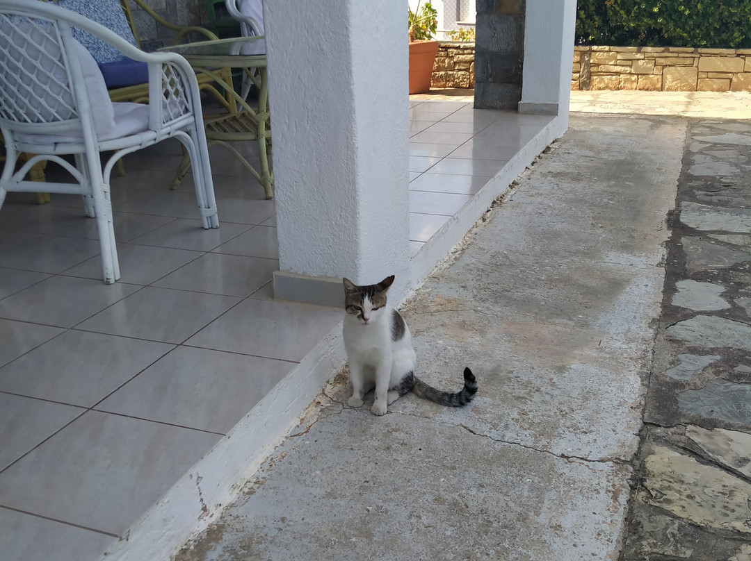 Residence Gerani主图