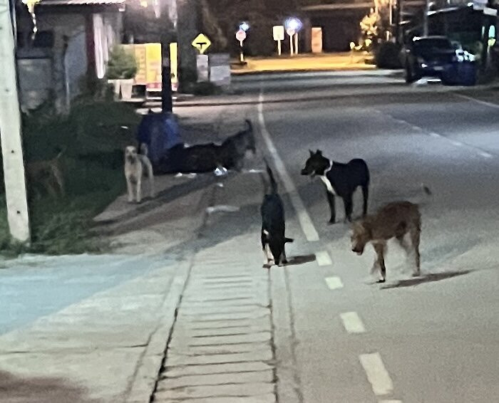 B2 Bueng Kan Boutique & Budget Hotel