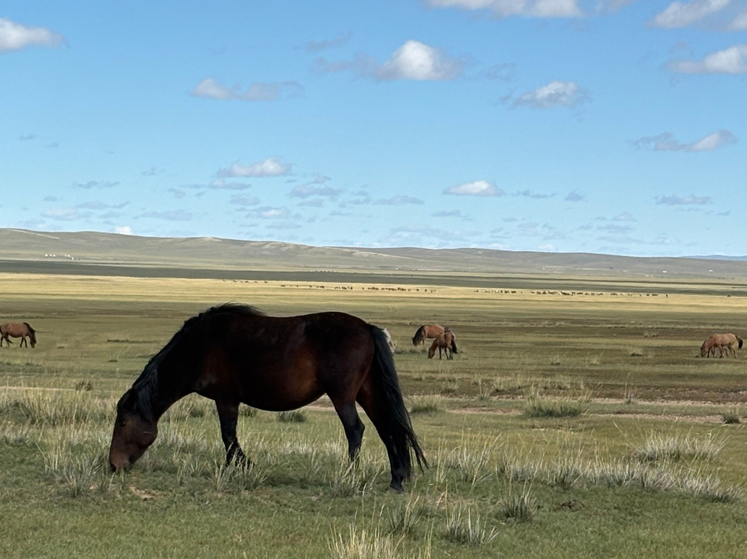 Bek Travel-Olgiy必去景点
