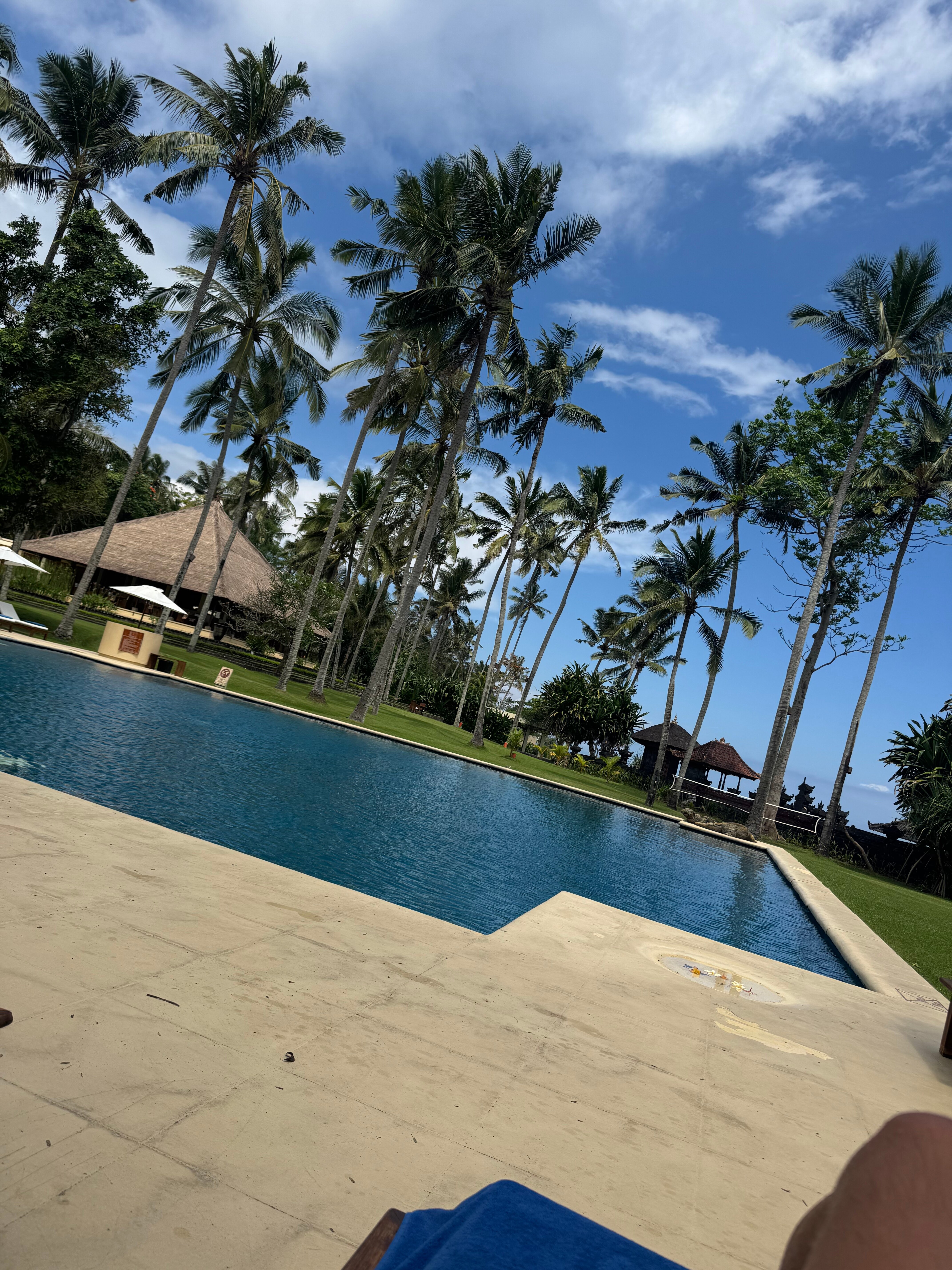 阿里亚曼吉斯酒店-泳池