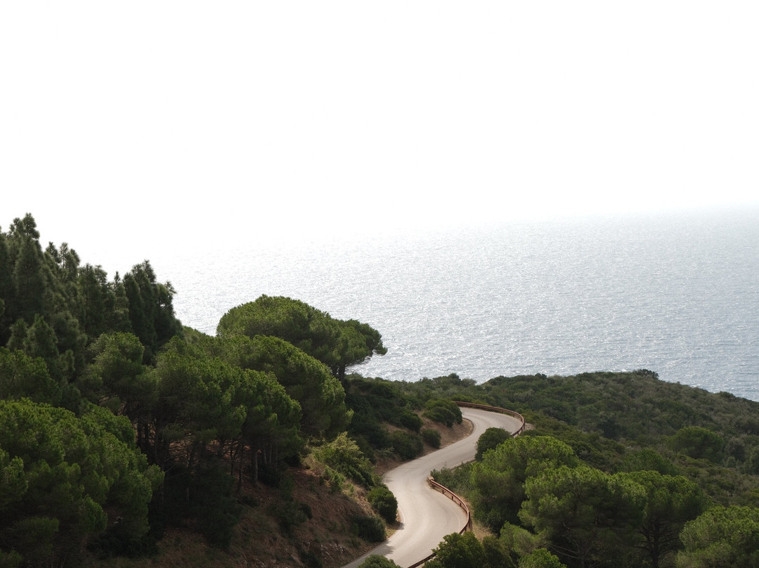 Bike Hub Tour & Rent Elba-Capoliveri必去景点