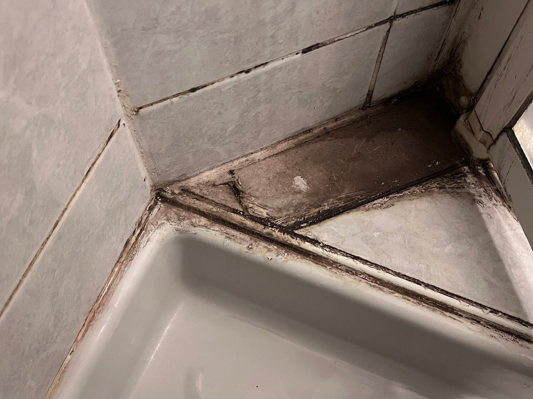 Ibis Styles Bourg en Bresse主图