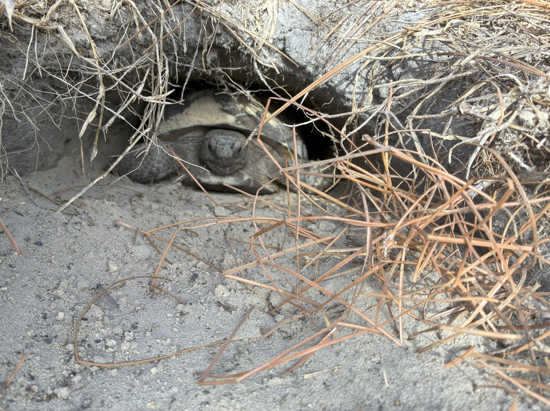 Mead Botanical Garden, Inc.-温特帕克必去景点