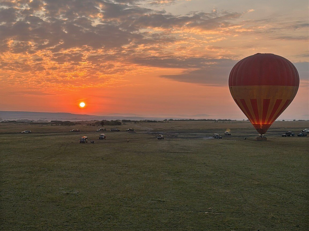 Kubwa Five Safaris-坎帕拉必去景点