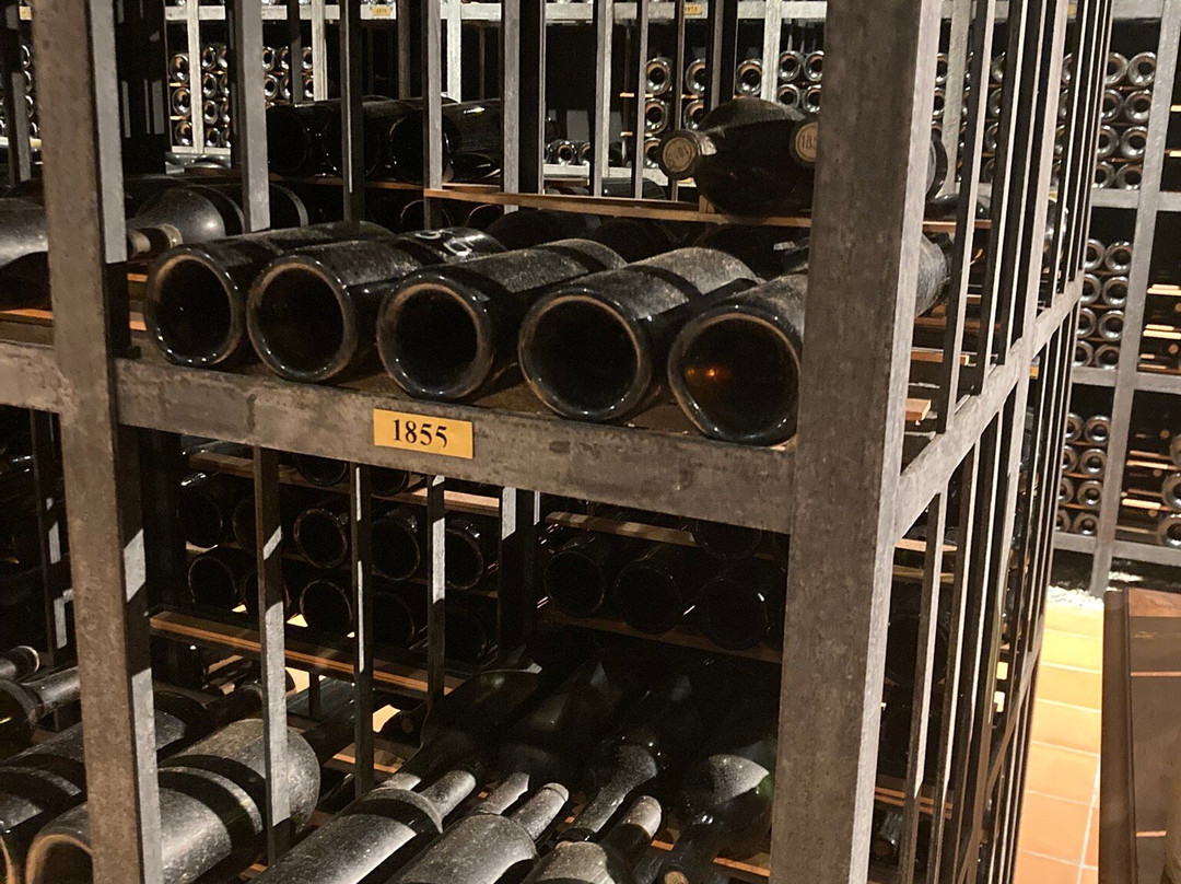 Château Gruaud Larose-Saint-Julien-Beychevelle必去景点