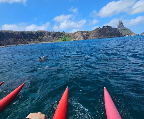 Noronha Pedal-费尔南多-迪诺罗尼亚群岛必去景点