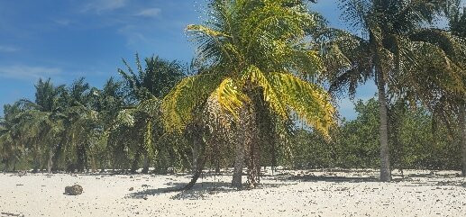 Cayo Blanco-特立尼达必去景点