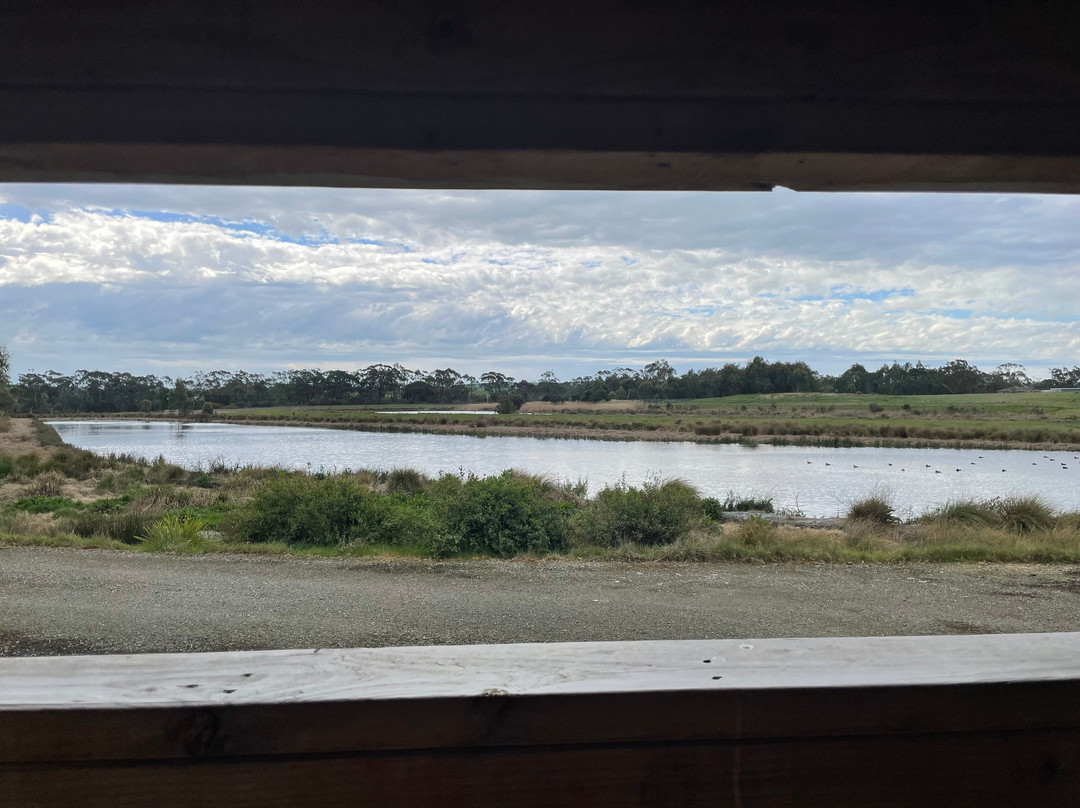 Meeniyan Bird Hide-Meeniyan必去景点