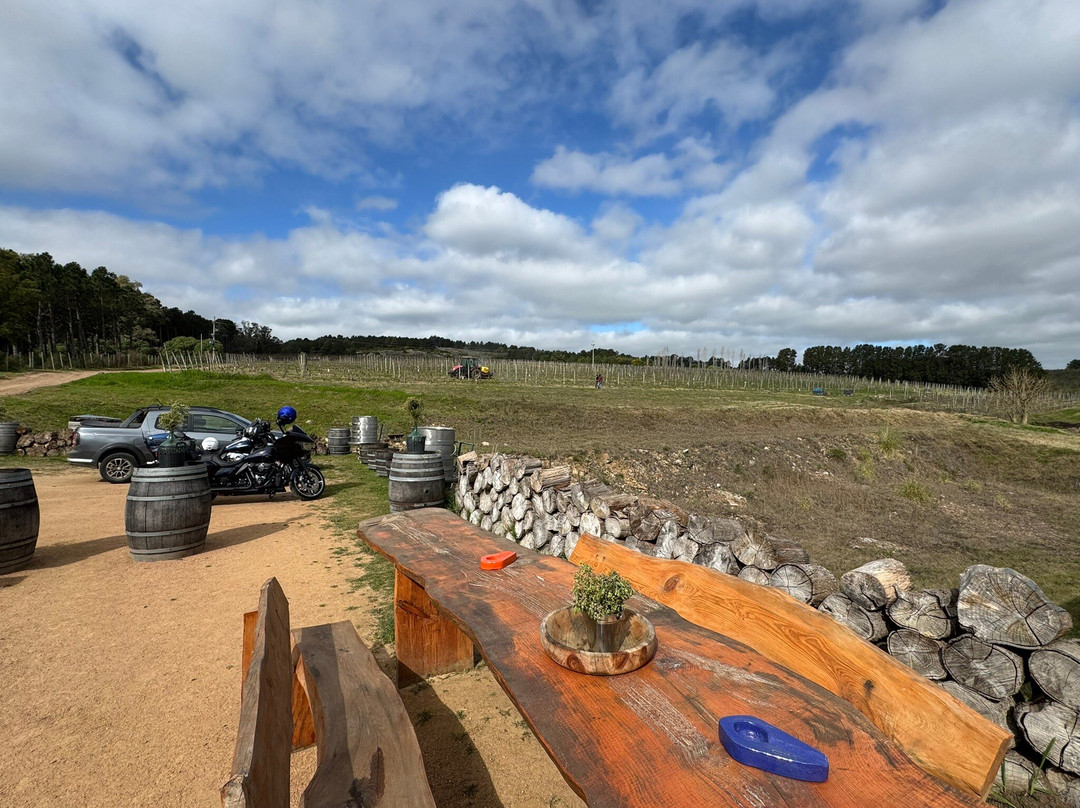 Alto de la Ballena-埃斯特角城必去景点