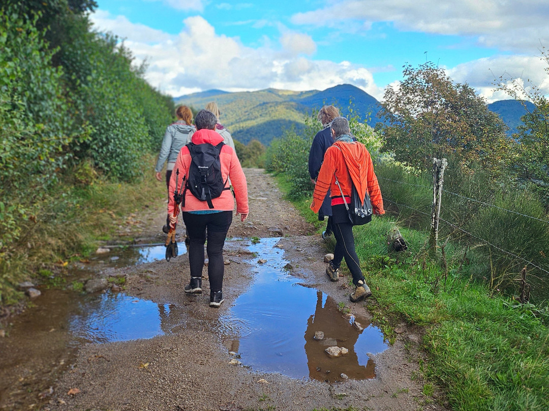 La Ferme des 4 Vents主图