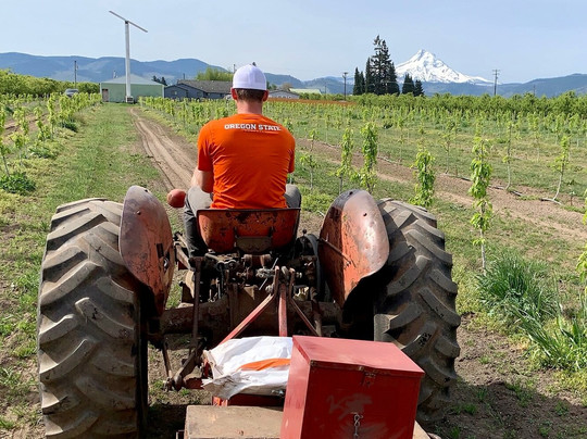 Pearl's Place Fruit Stand-胡德里弗必去景点