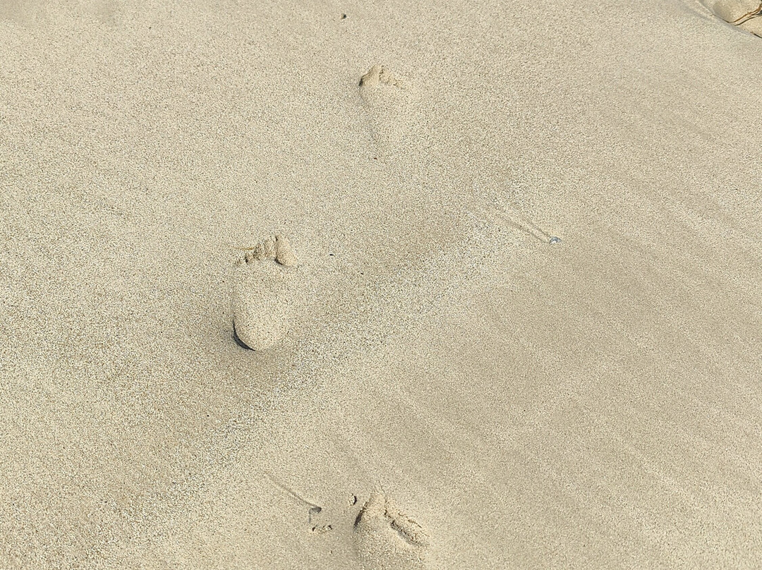 North Beach Wallaroo