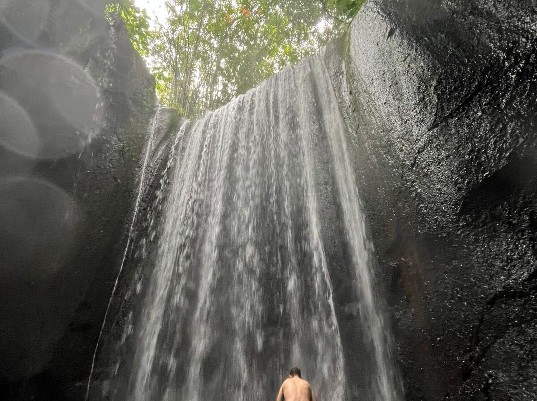 Amara Bali Family Tour-乌布必去景点