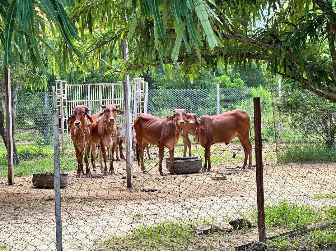 Amrai By Kivaara-Kishangarh必去景点