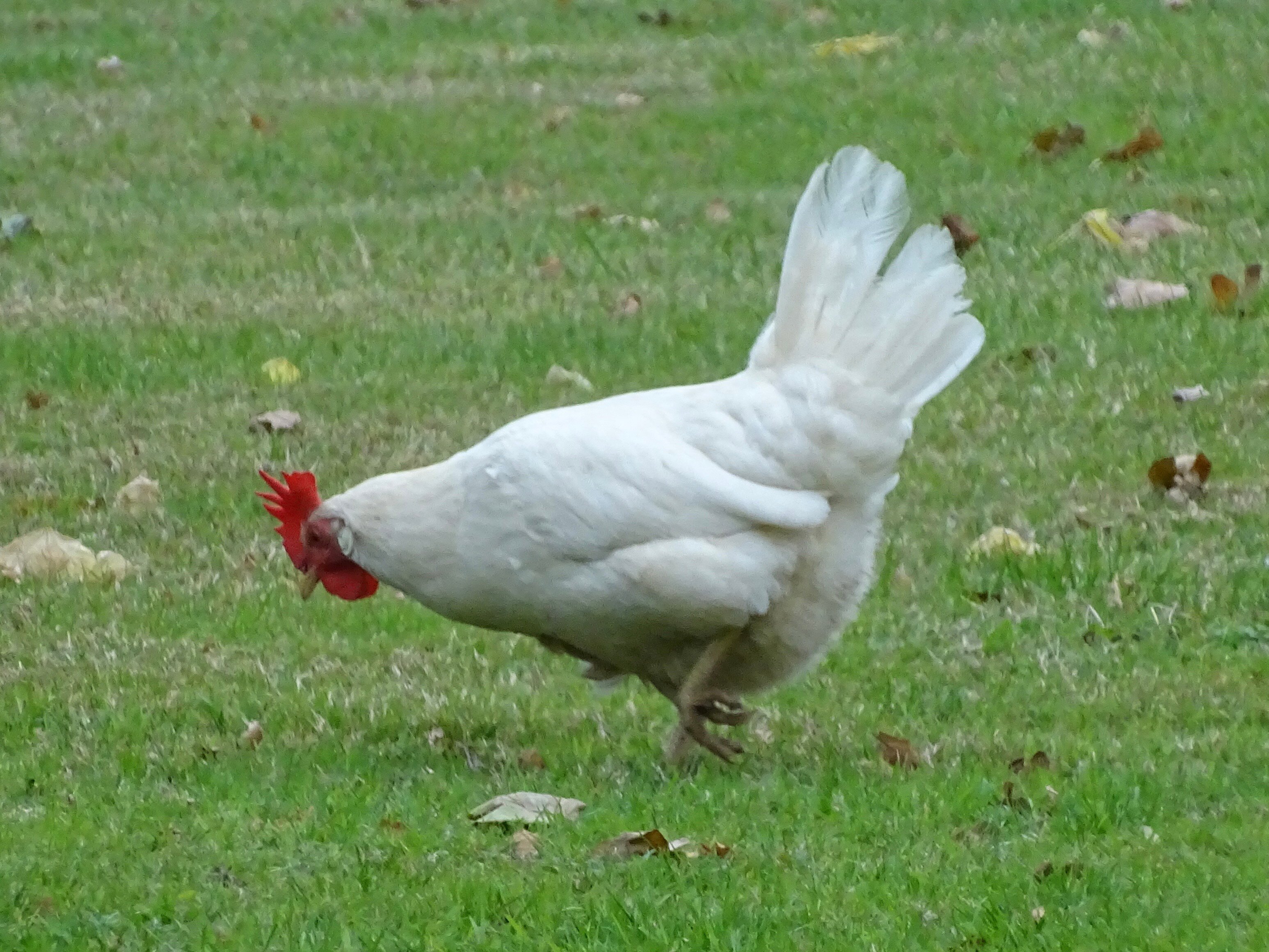 Magazine Wood-酒店景观