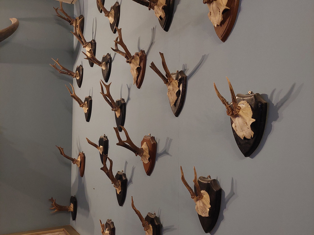 Natuurmuseum Fryslan-吕伐登必去景点