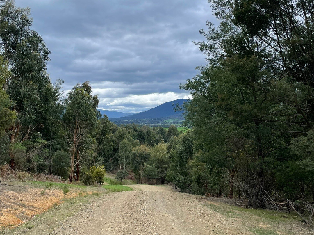 Warramate Hills Flora And Fauna Reserve