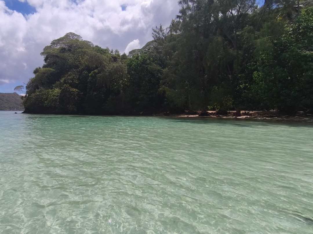 Huahine Dream Tours-Huahine必去景点