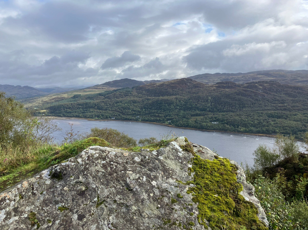 Highlander House主图