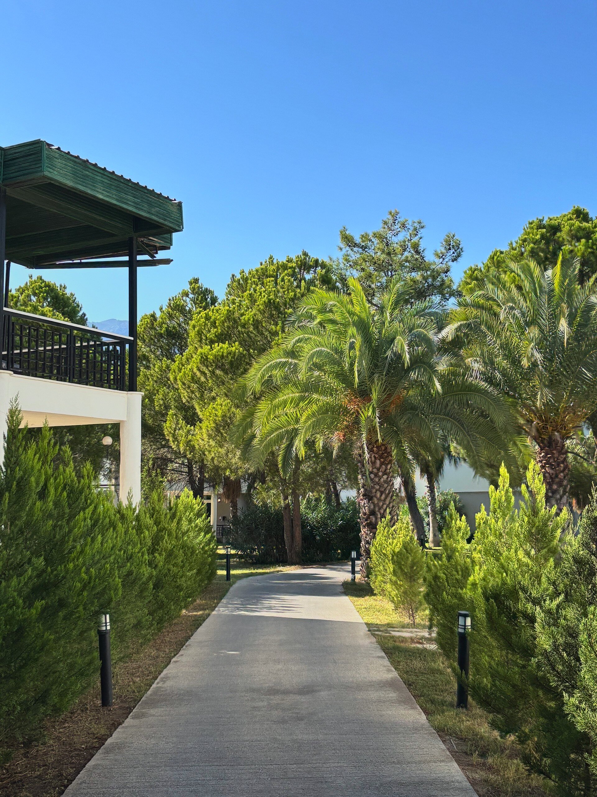 Simena Comfort Hotel-官方