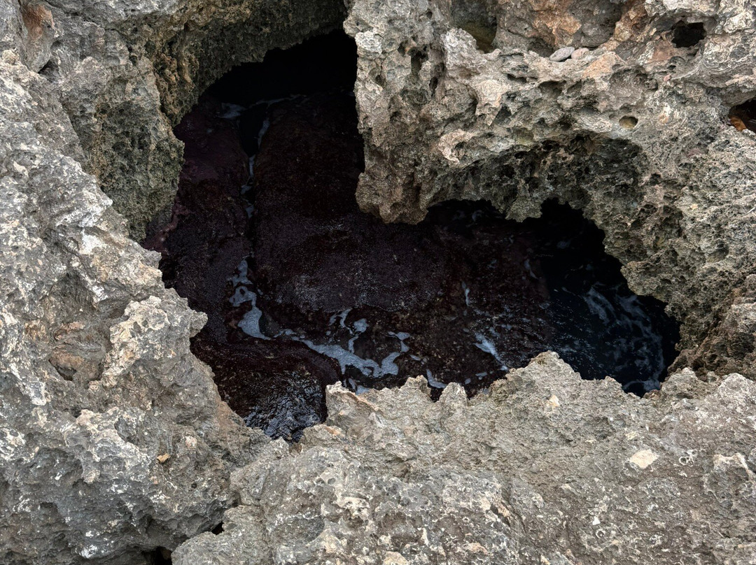 Mermaid Caves-怀厄奈必去景点