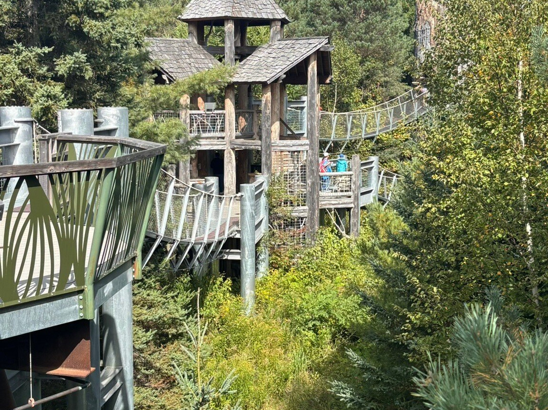 The Wild Center-Tupper Lake必去景点