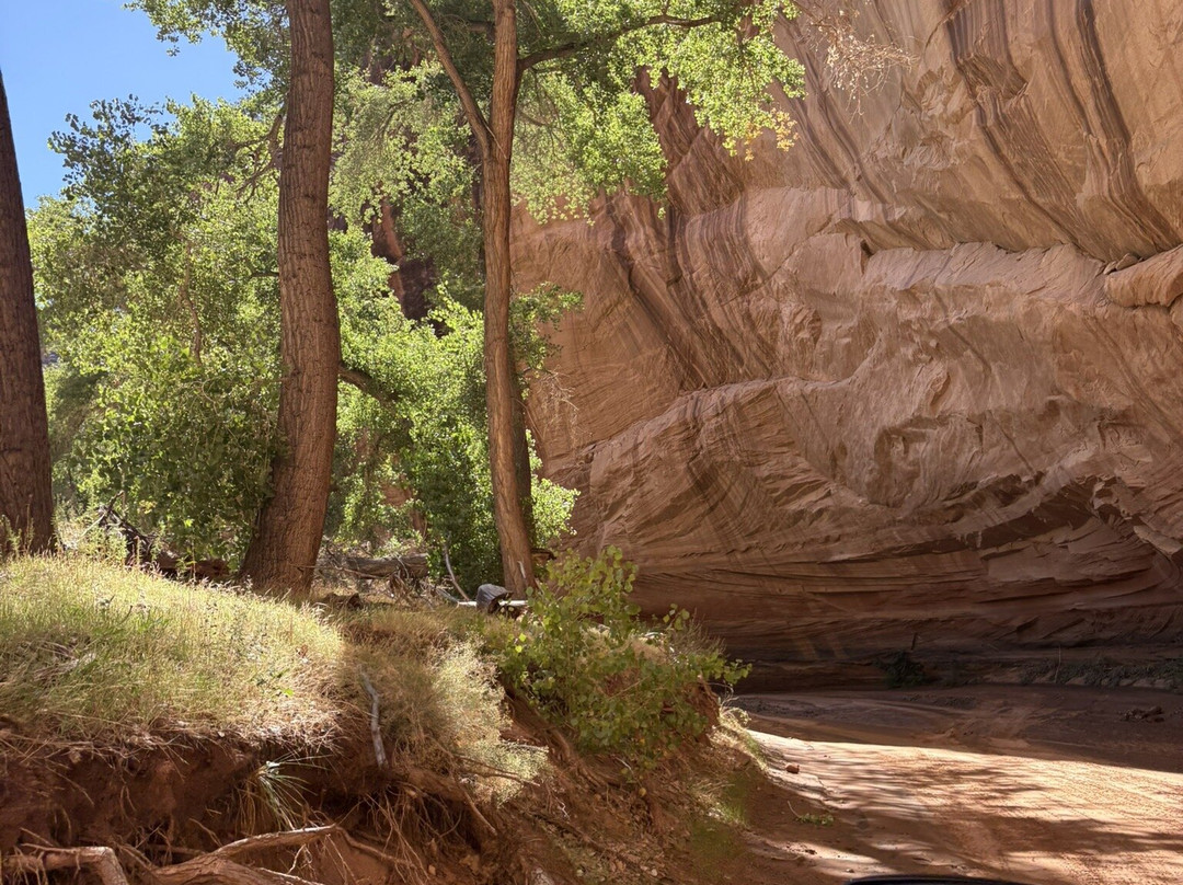 Antelope House Tours-Chinle必去景点