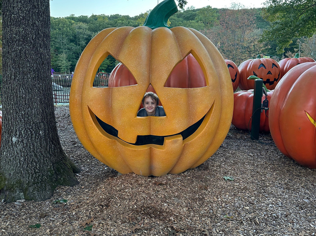 The Shops at Nature's Art Village-Oakdale必去景点