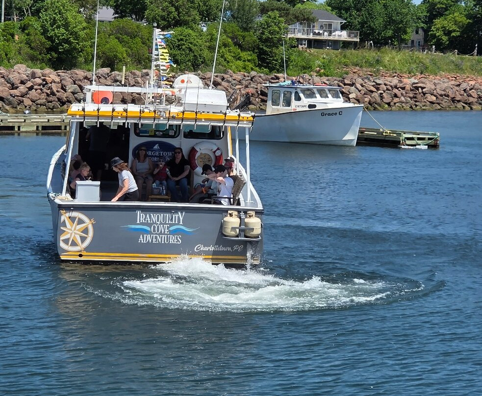 Tranquility Cove Adventures-Georgetown必去景点