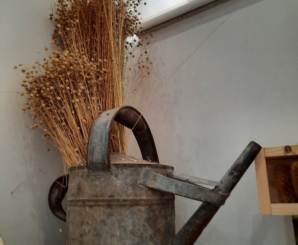 Nucleo Museologico das Mantas e Tapecarias de Belver-Belver必去景点