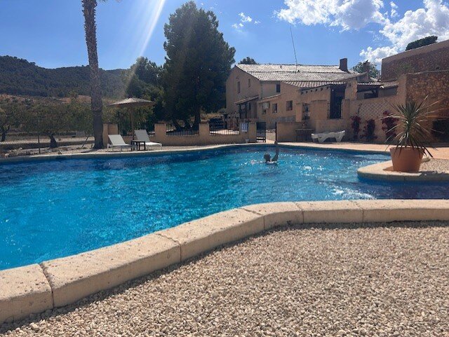 Finca Guillermo Murcia-泳池